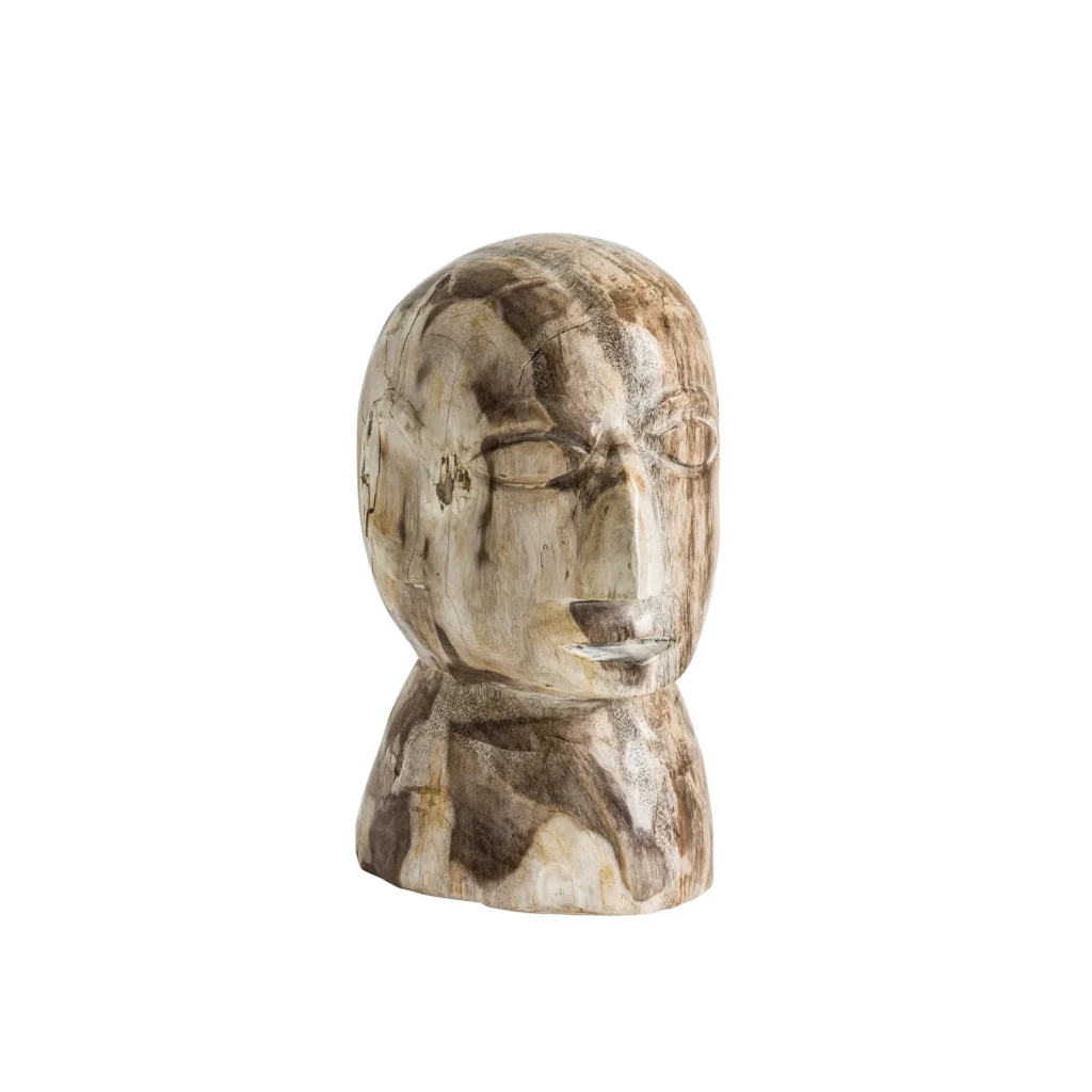 BUSTO ROBIN
