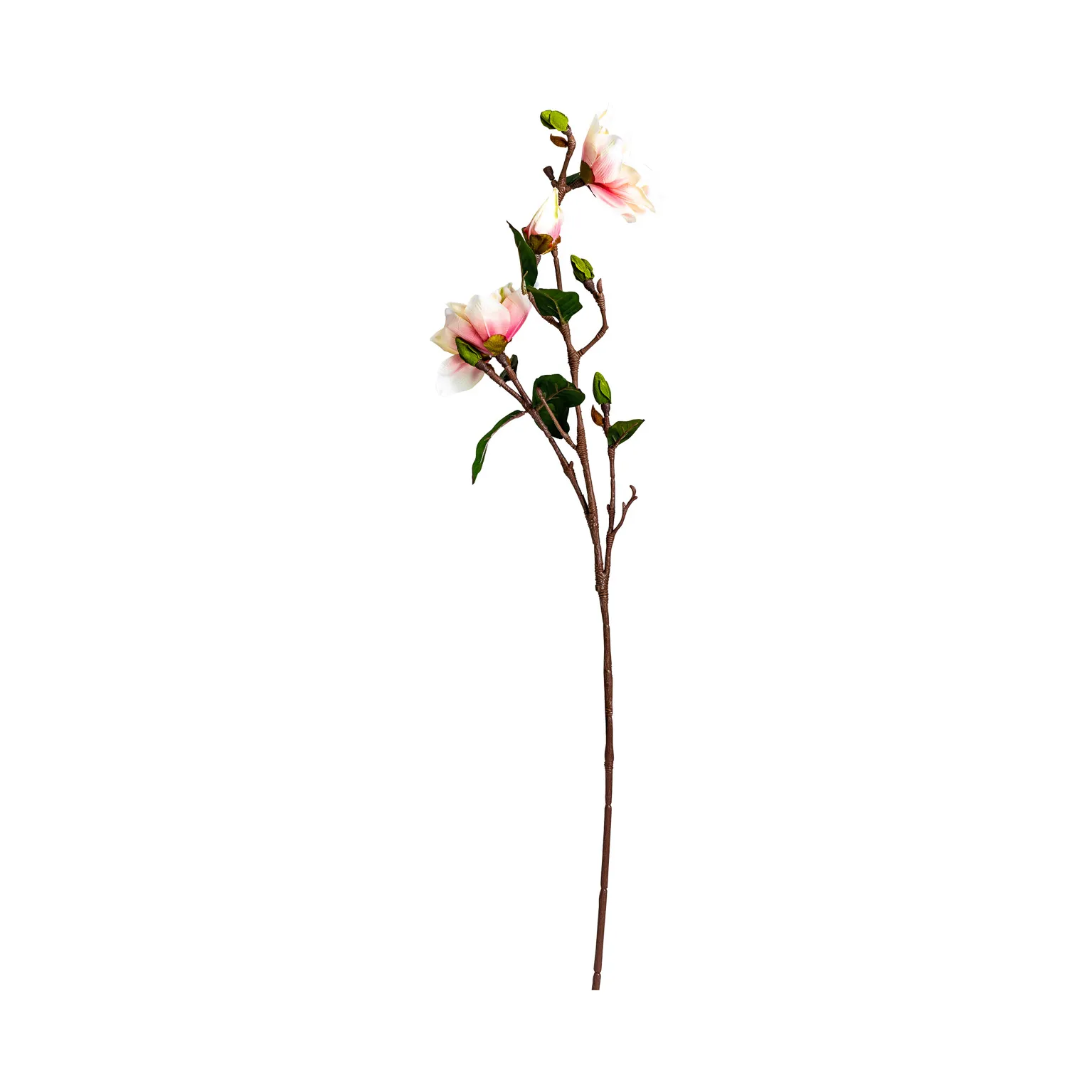 FLOR YULAN - Imagen 2