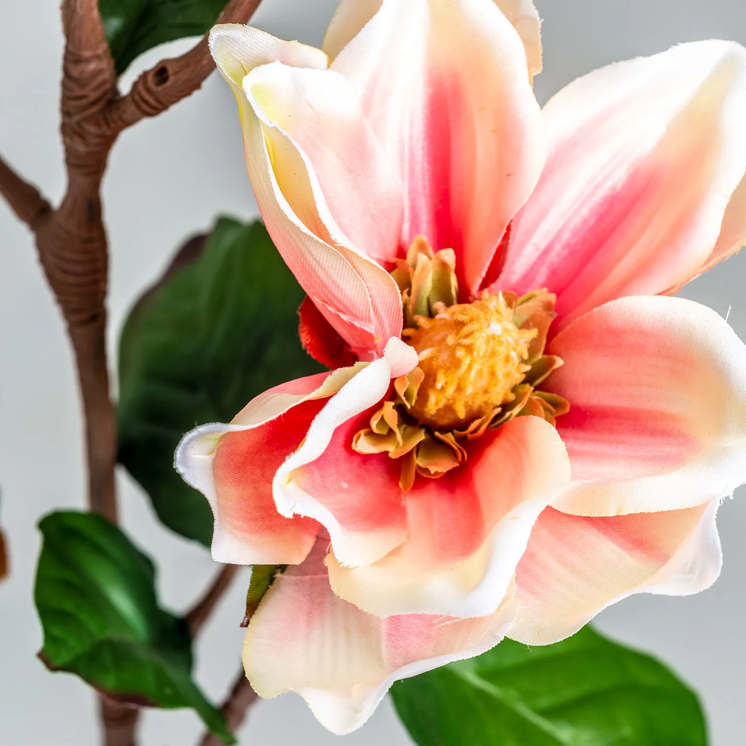 FLOR YULAN - Imagen 3
