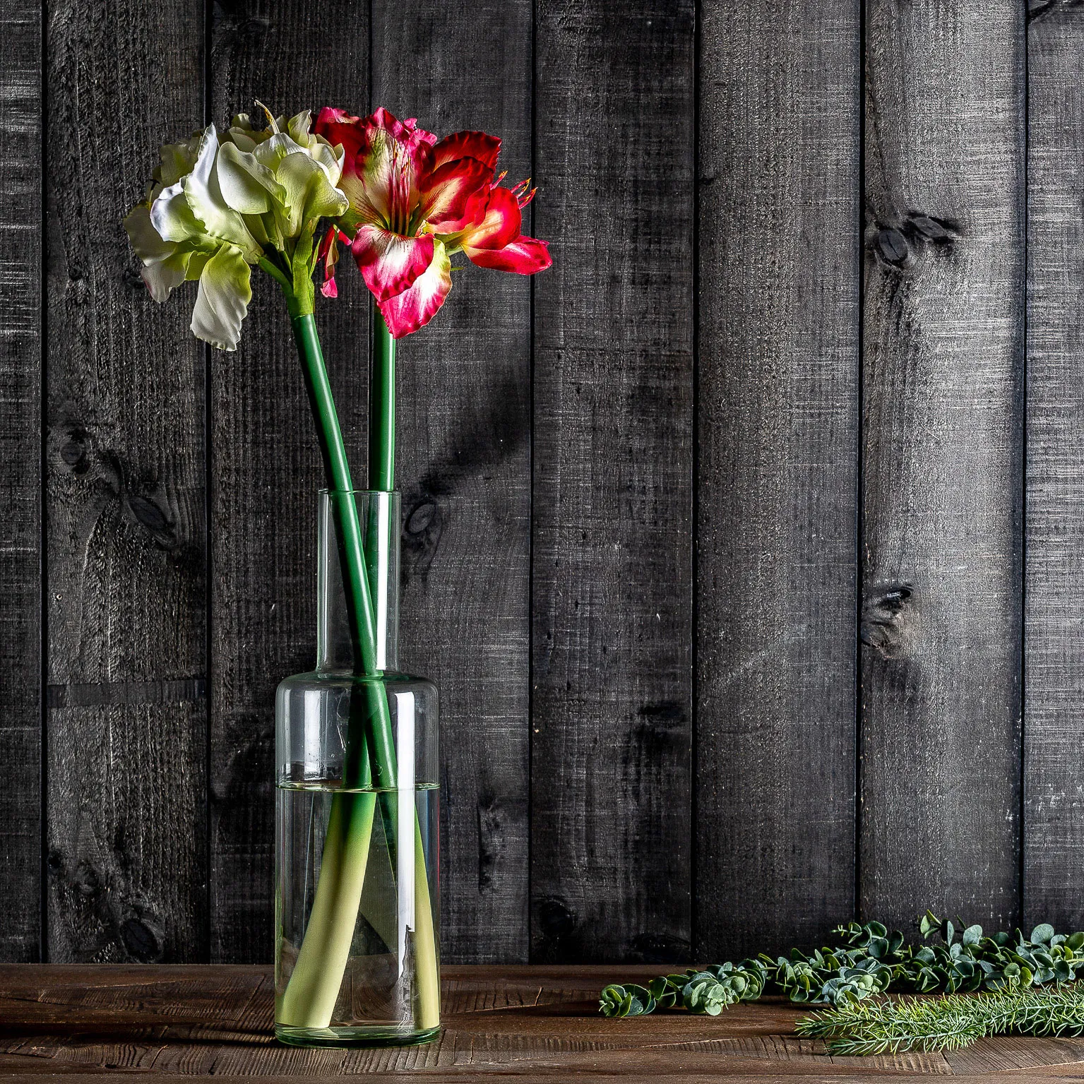 FLOR AMARYLLIS - Imagen 4