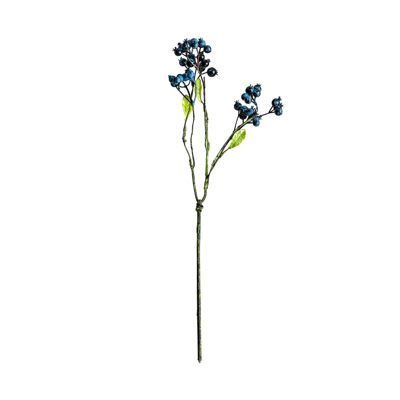 PLANTA - Imagen 2