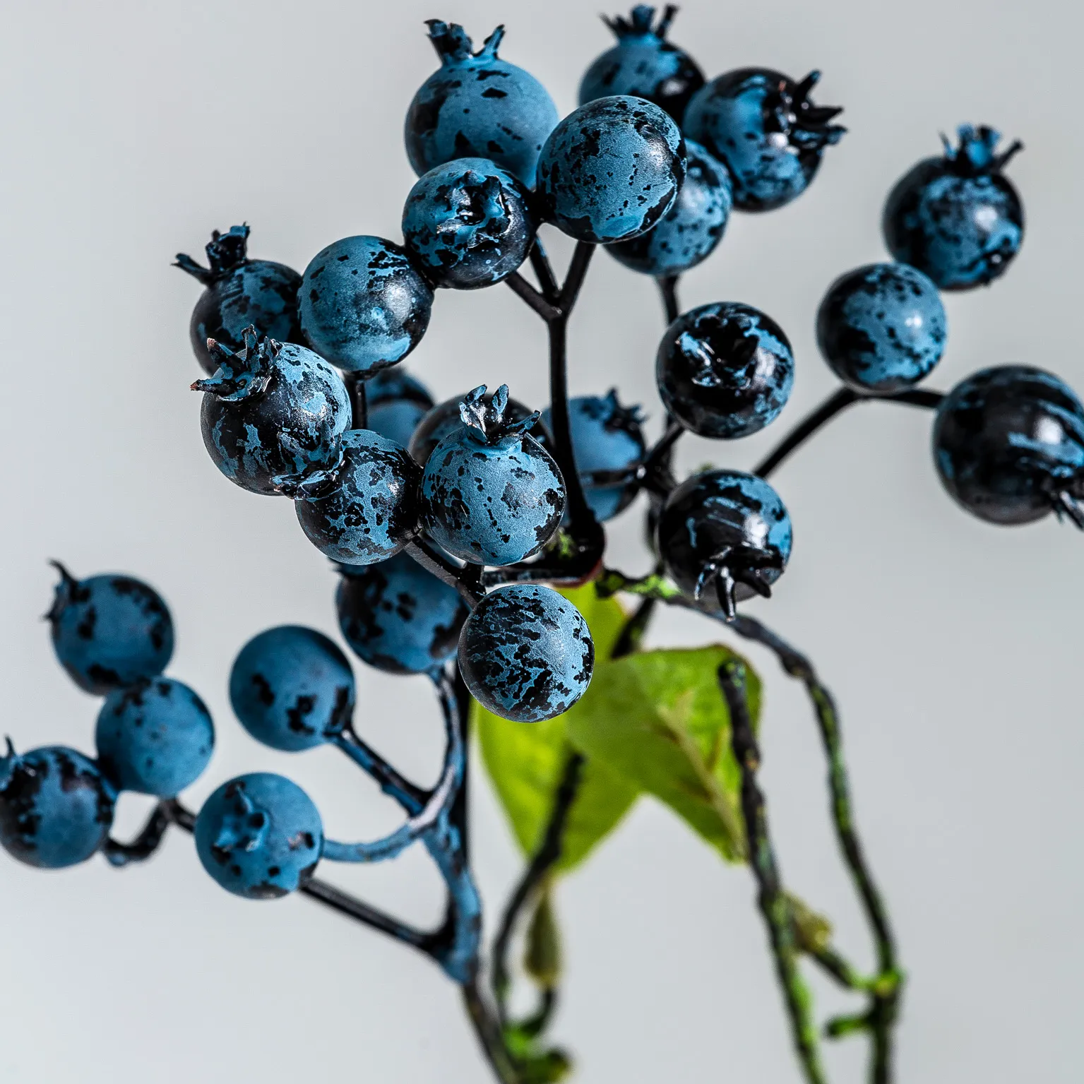 PLANTA - Imagen 3
