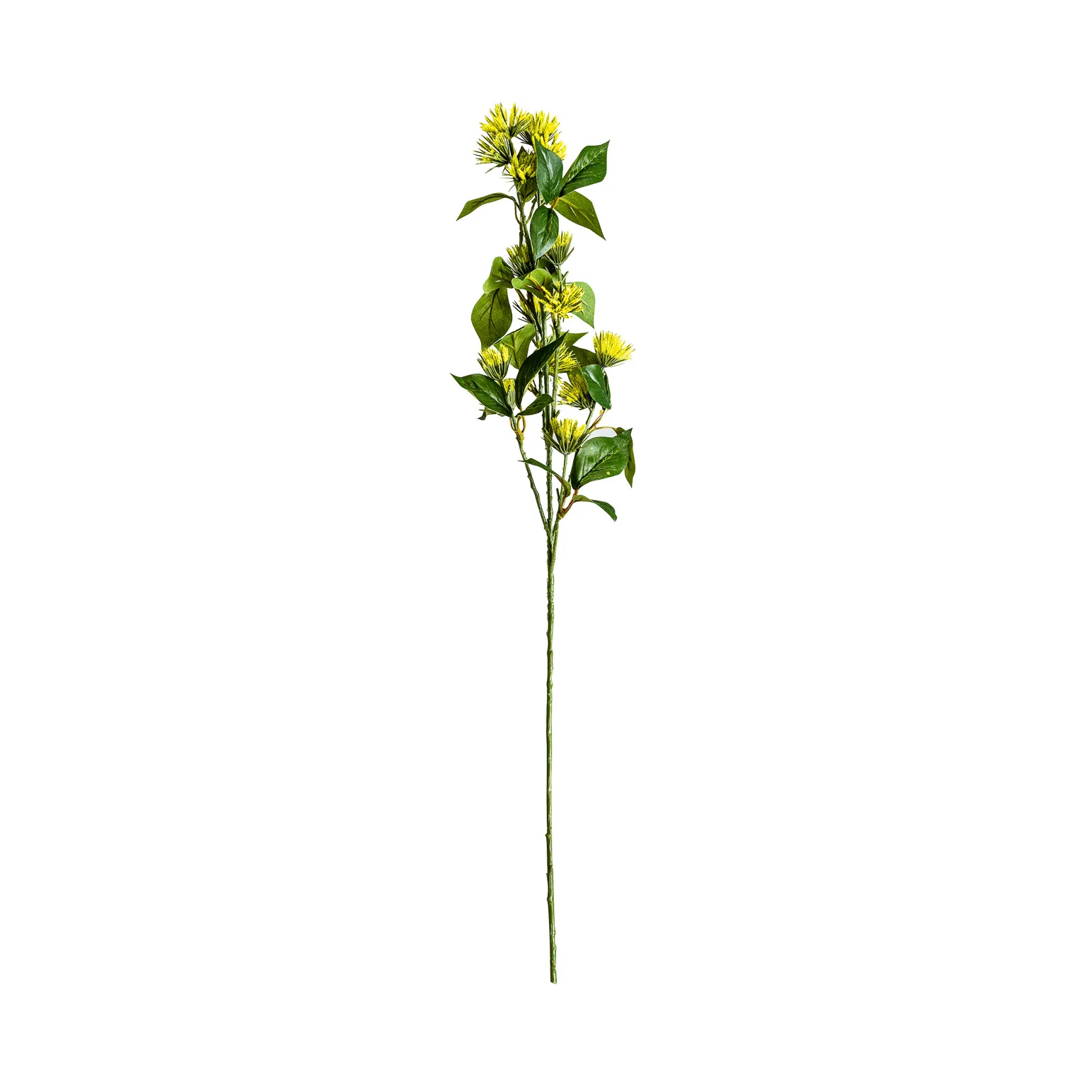 FLOR - Imagen 2