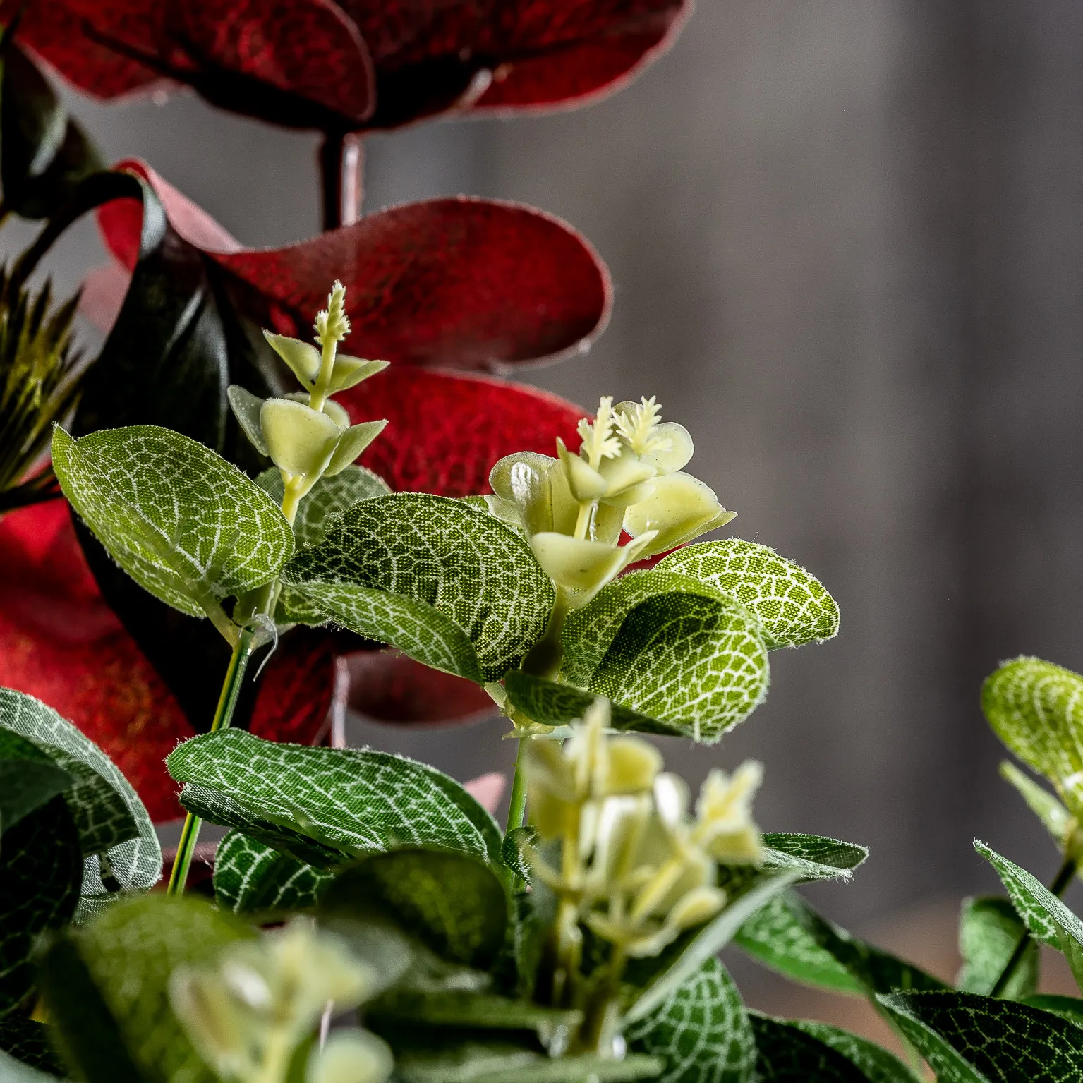 FLOR - Imagen 5
