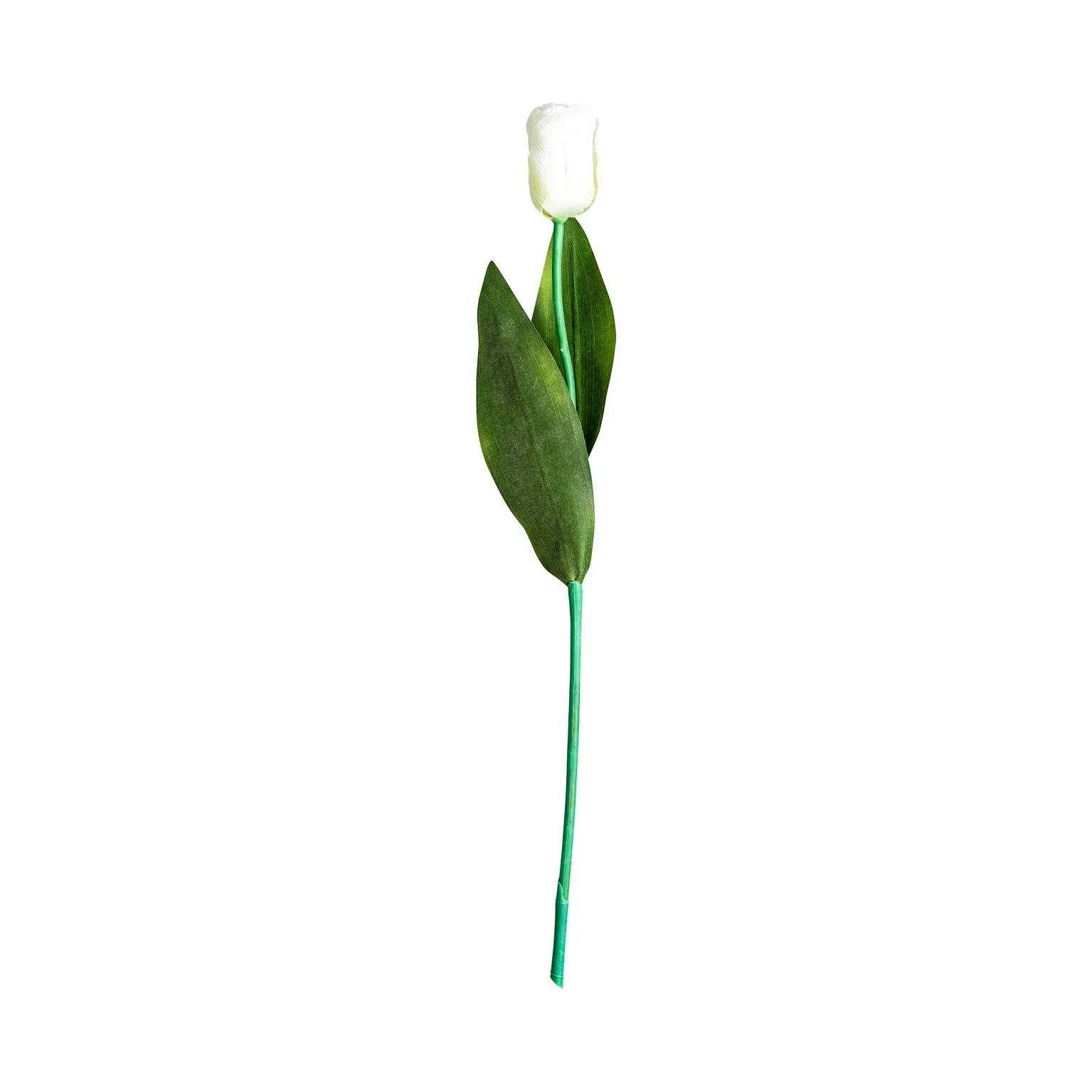 FLOR TULIPAN - Imagen 2