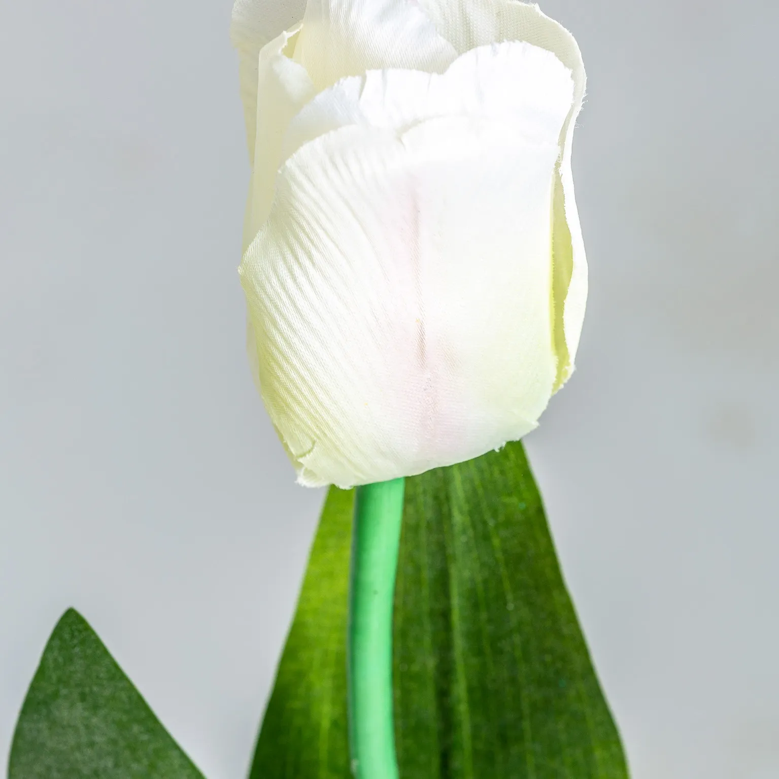 FLOR TULIPAN - Imagen 3