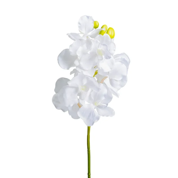 FLOR AZAHAR