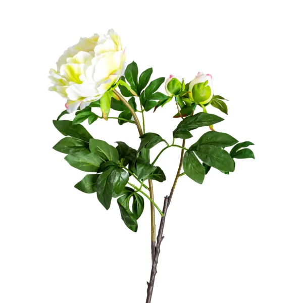 FLOR ROSA