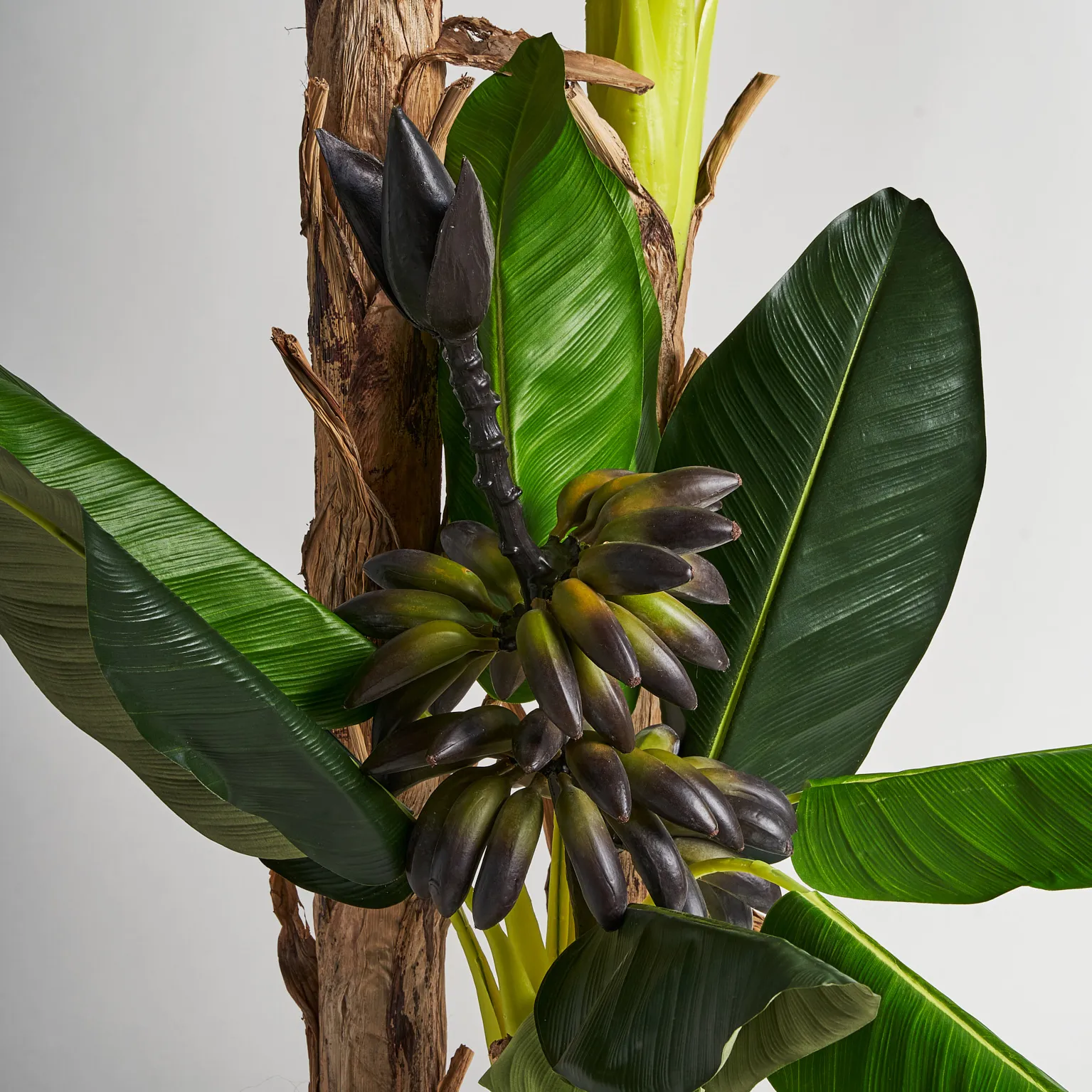 PLANTA PLATANERO - Imagen 3