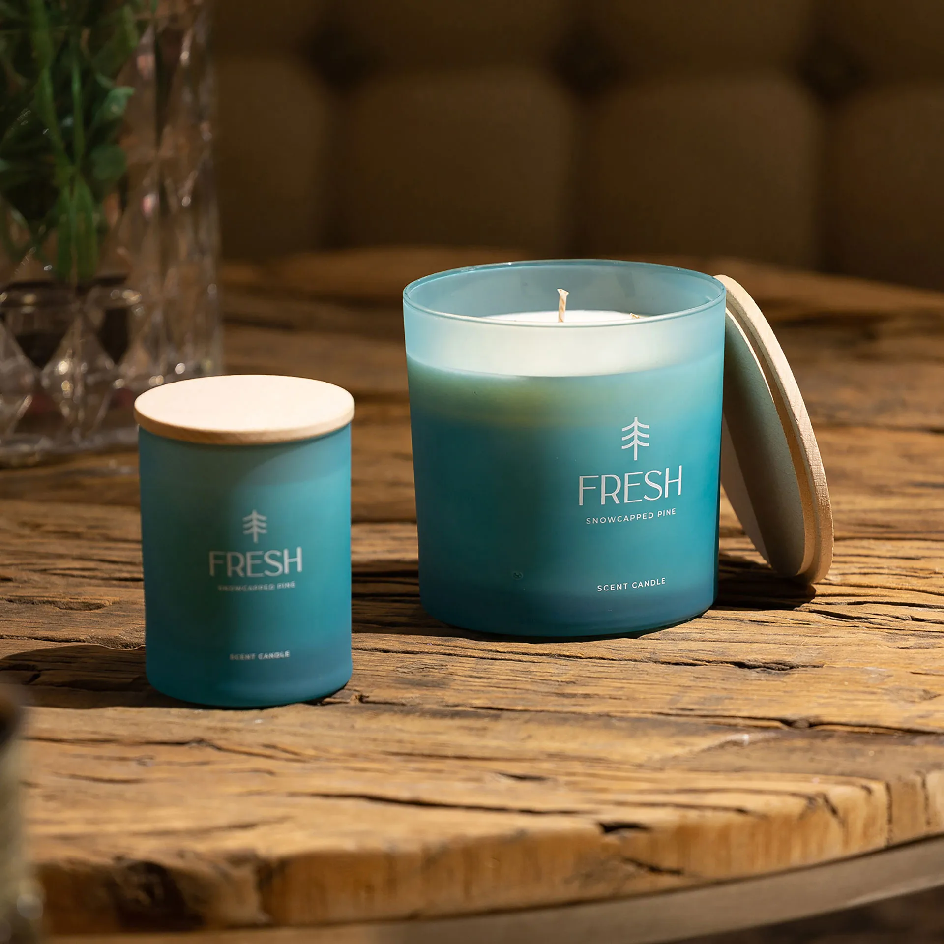 VELA FRESH - Imagen 7