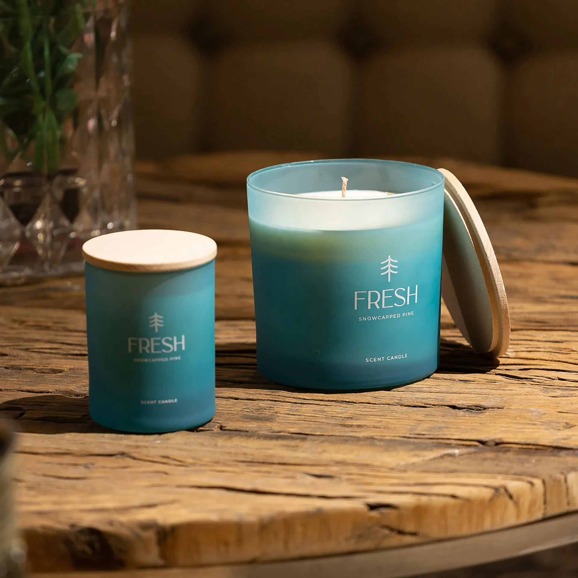 VELA FRESH - Imagen 7