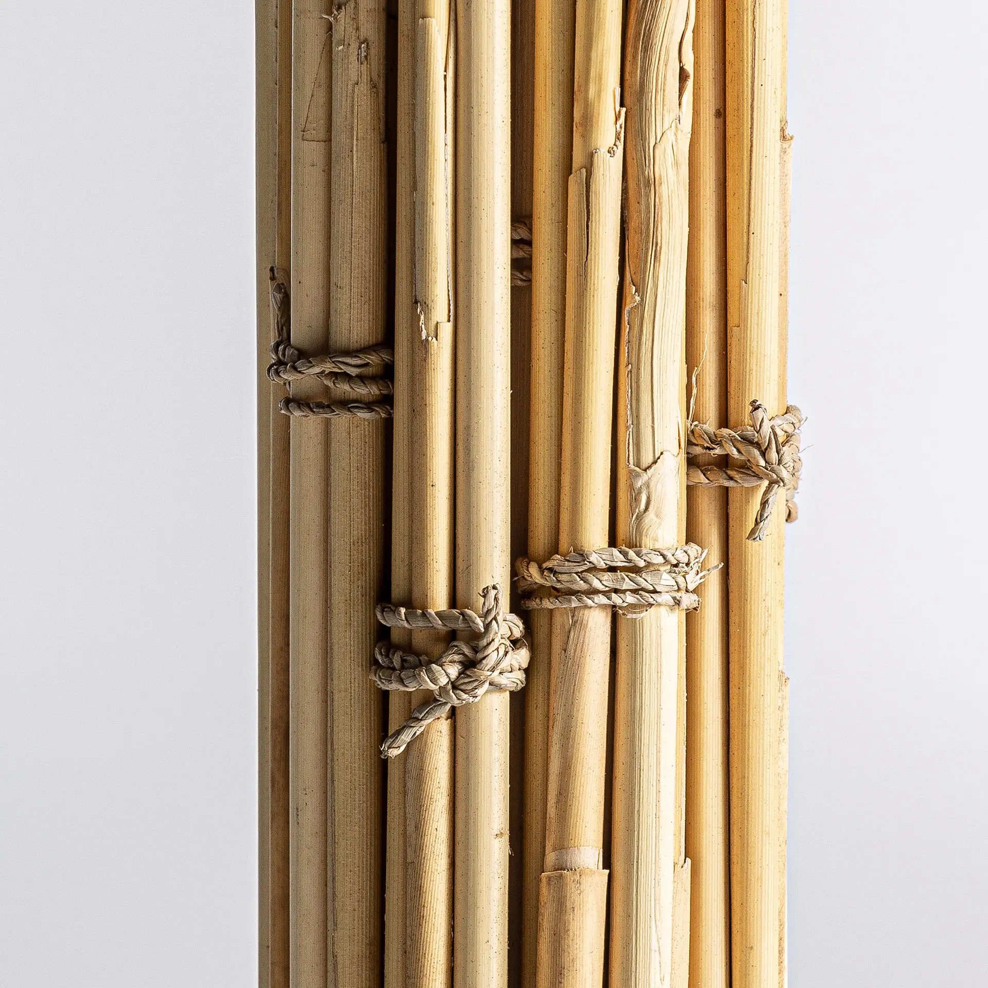 RAMAS LEASHE - Imagen 3