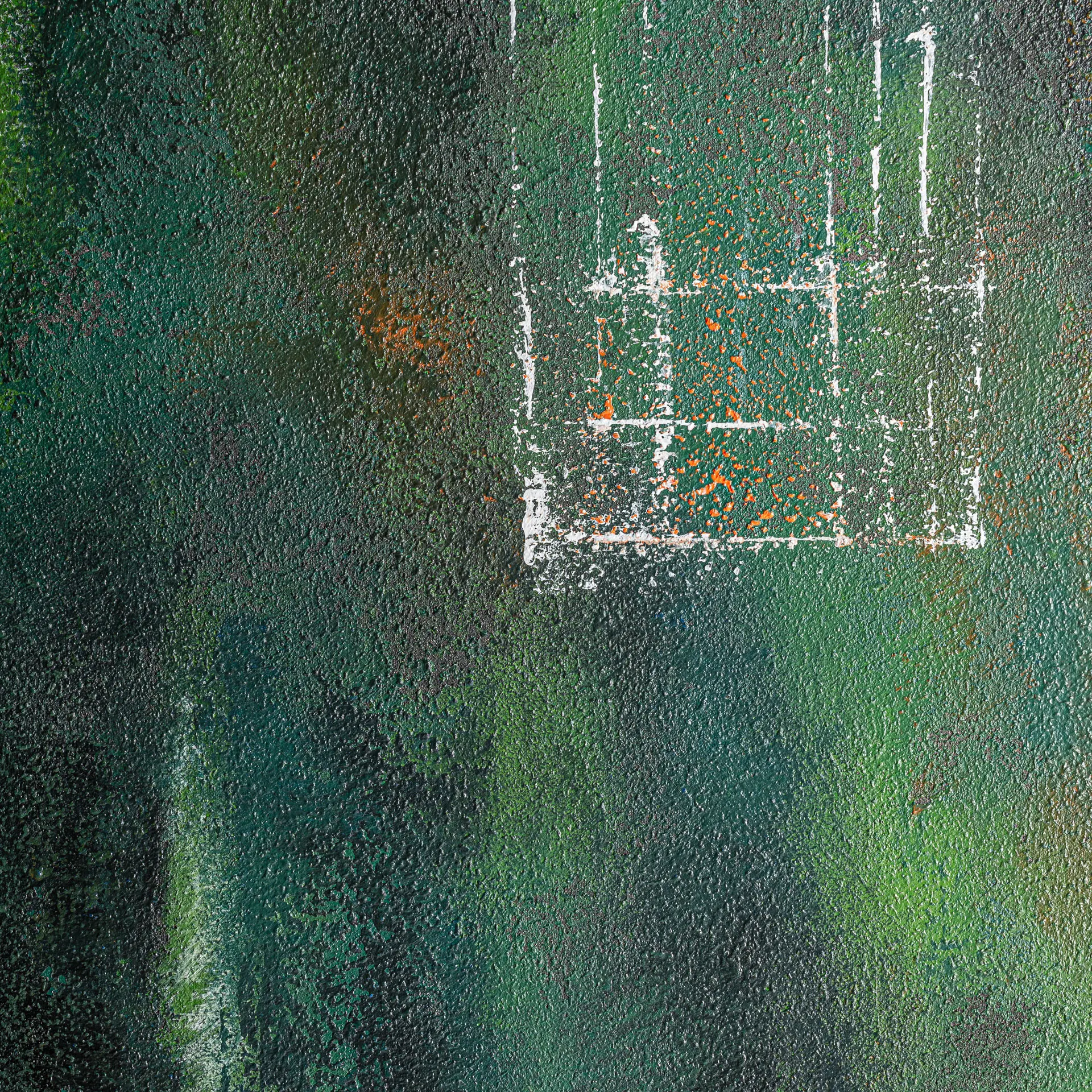 LIENZO ALERCE - Imagen 2
