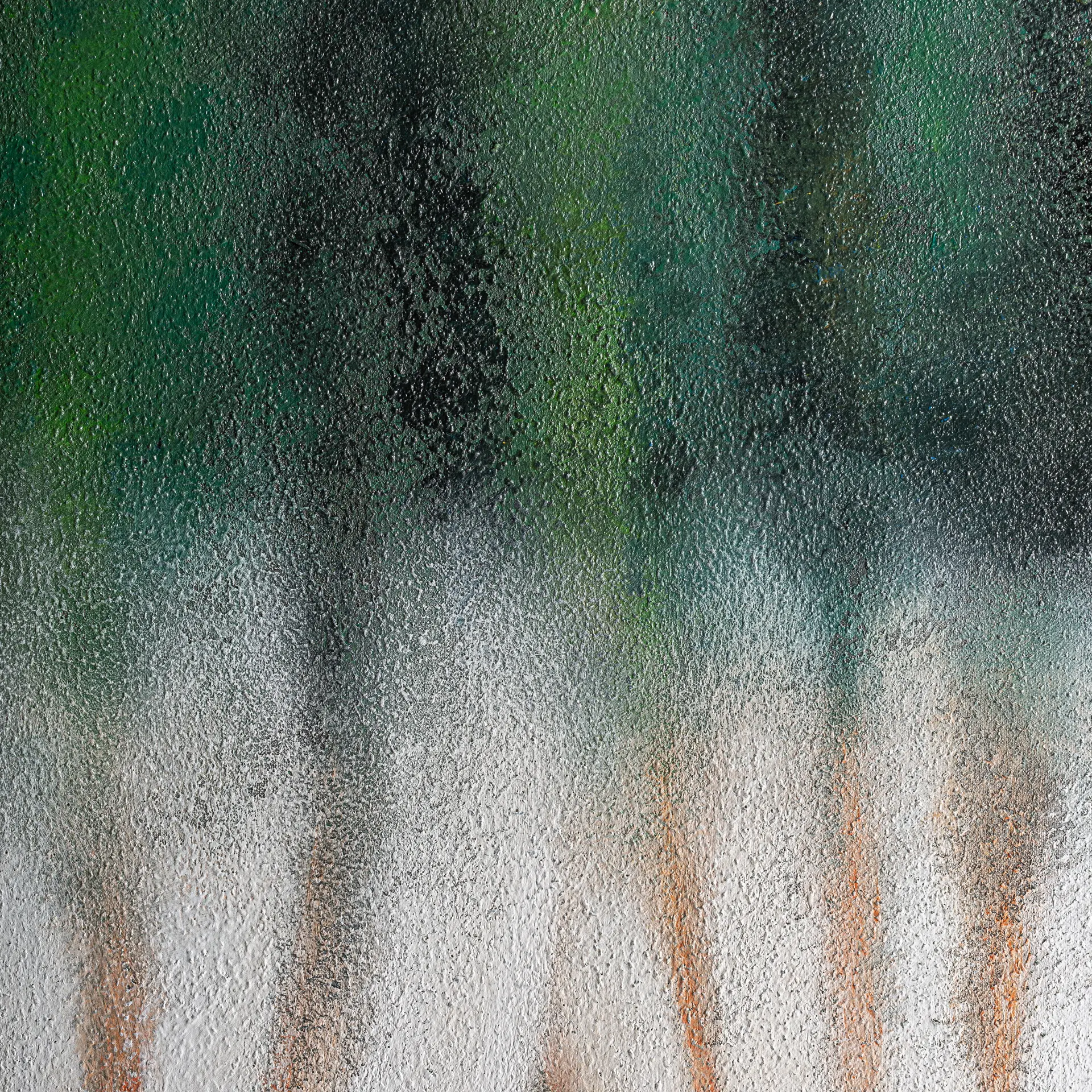 LIENZO ALERCE - Imagen 3