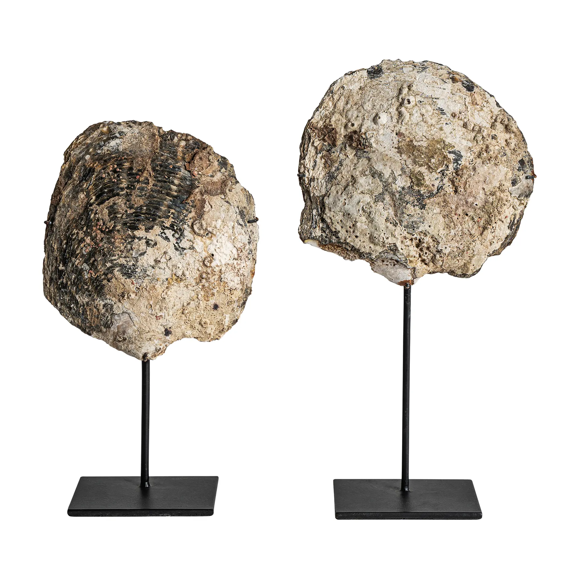 FIGURA DECORATIVA - Imagen 4