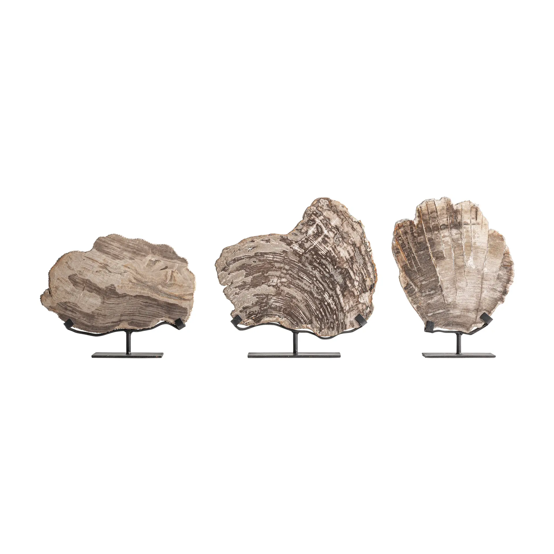 FIGURA DECORATIVA AUREA - Imagen 2