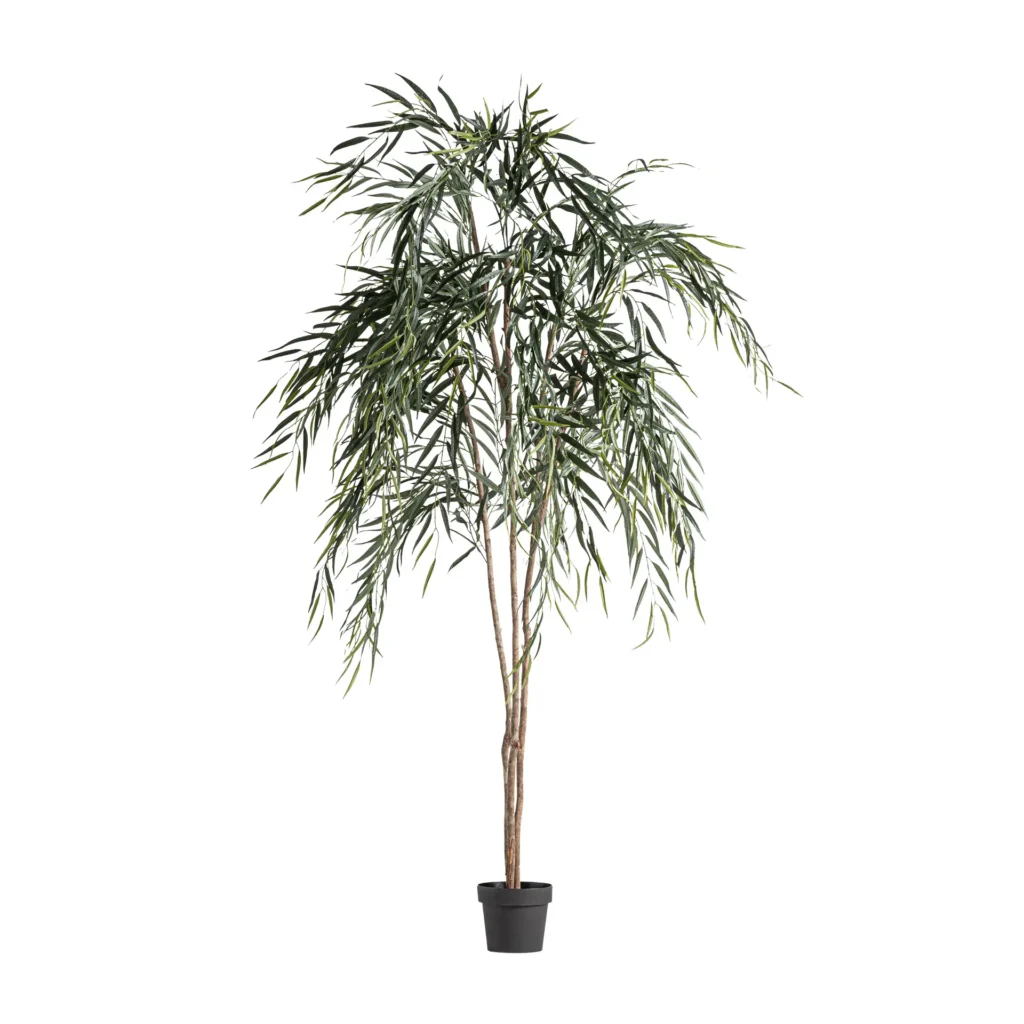 PLANTA SAUCE
