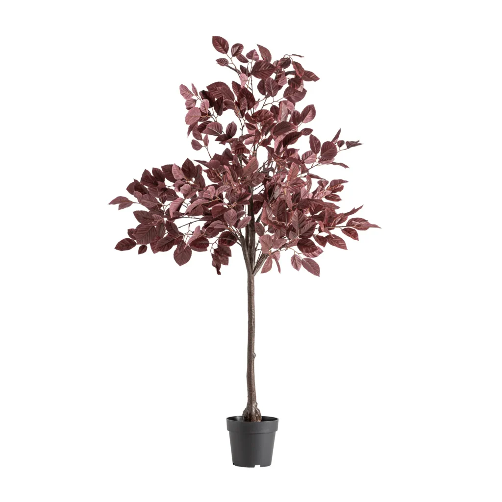 PLANTA HAYA