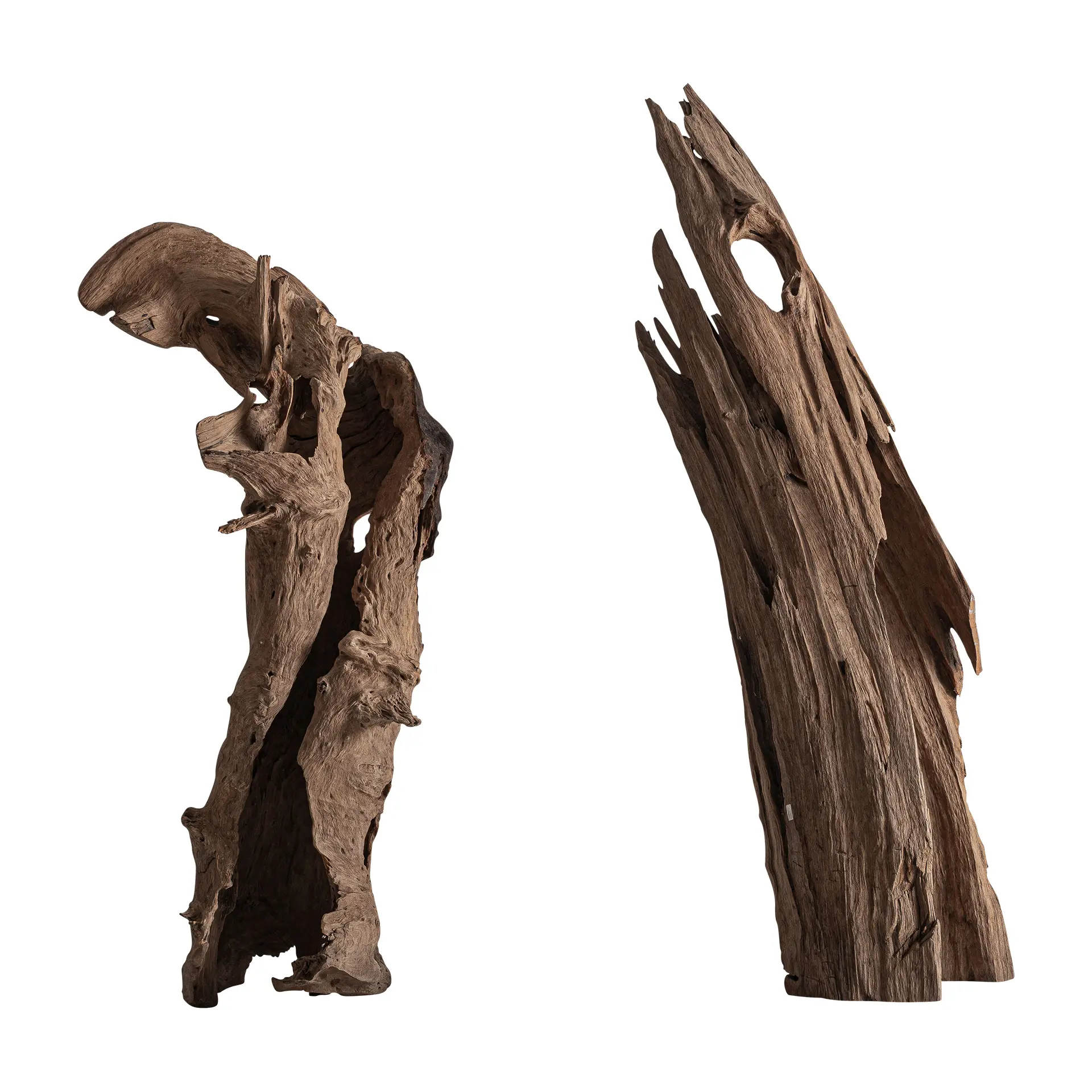ESCULTURA PIE - Imagen 2
