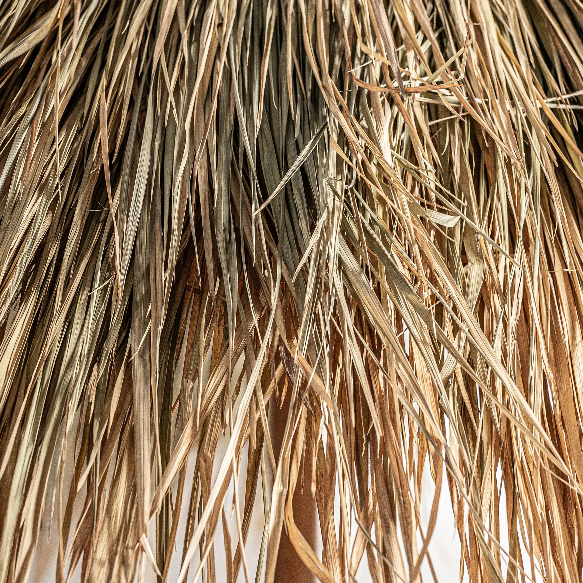 SOMBRILLA LIWALE - Imagen 2